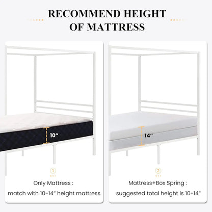 WhiteHaven Full Platform Bed
